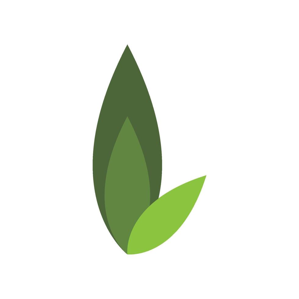 Eco Tree Leaf Logo vector