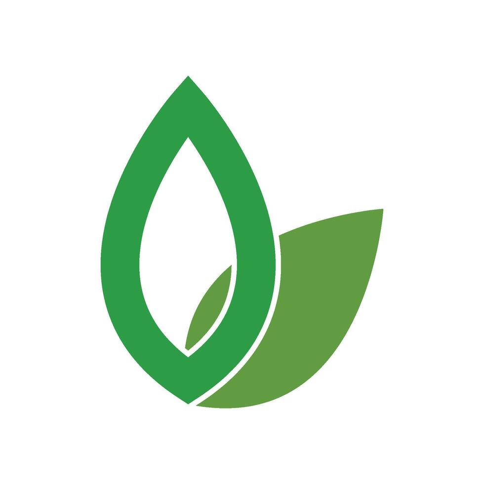 Eco Tree Leaf Logo vector