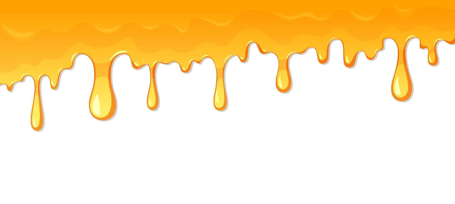 Dripping honey isolated on white background. vector