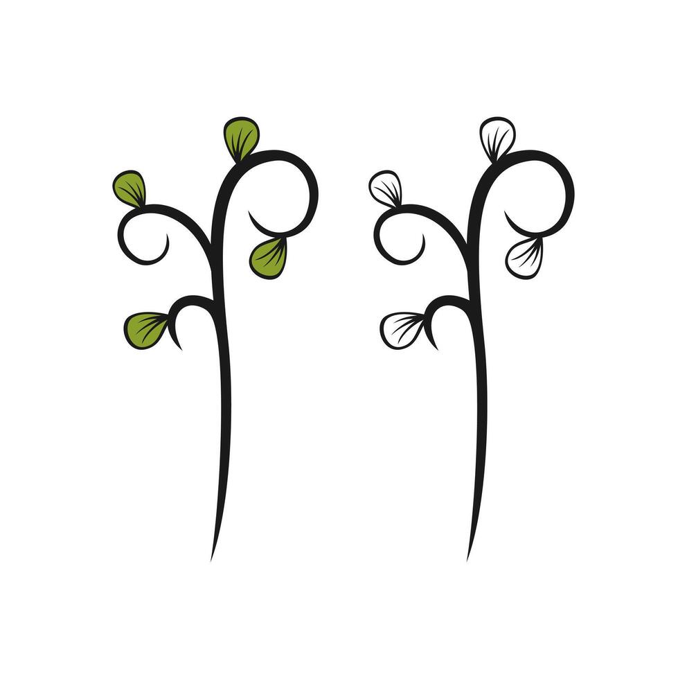 Leaves Flower Ornament Design Illustration vector