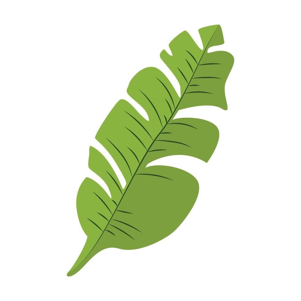 Monochromatic tropical leaves on white vector