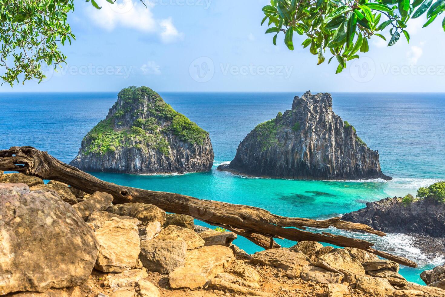 Fernando de Noronha, Brazil. View of Morro dos Dois Irmaos with gains and plants in the foreground. photo