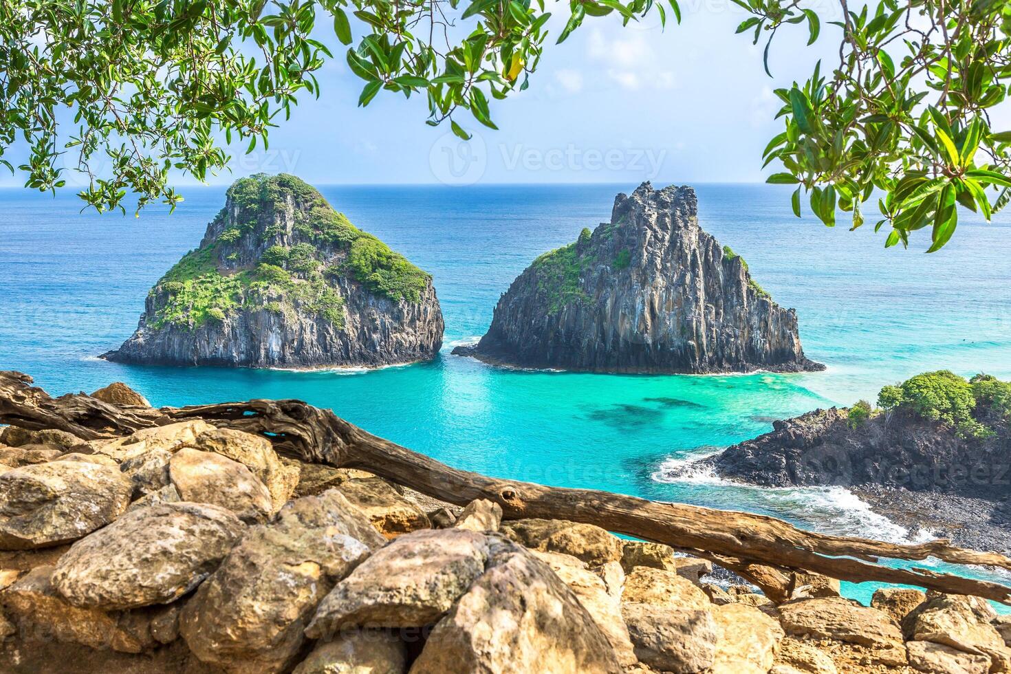 Fernando de Noronha, Brazil. View of Morro dos Dois Irmaos with gains and plants in the foreground. photo