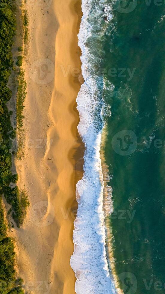 Balneario Camboriu in Santa Catarina. Taquaras Beach and Laranjeiras Beach in Balneario Camboriu. Aerial view in landscape. photo