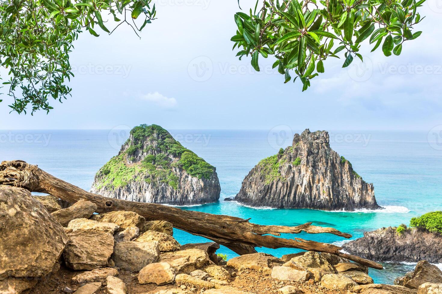 Fernando de Noronha, Brazil. View of Morro dos Dois Irmaos with gains and plants in the foreground. photo