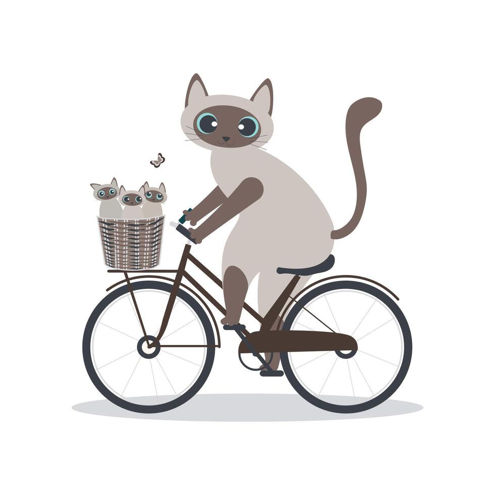 Cute Siamese mother cat carrying her little kittens in a basket on a bicycle isolated on white background for Mother's Day holiday cards. vector