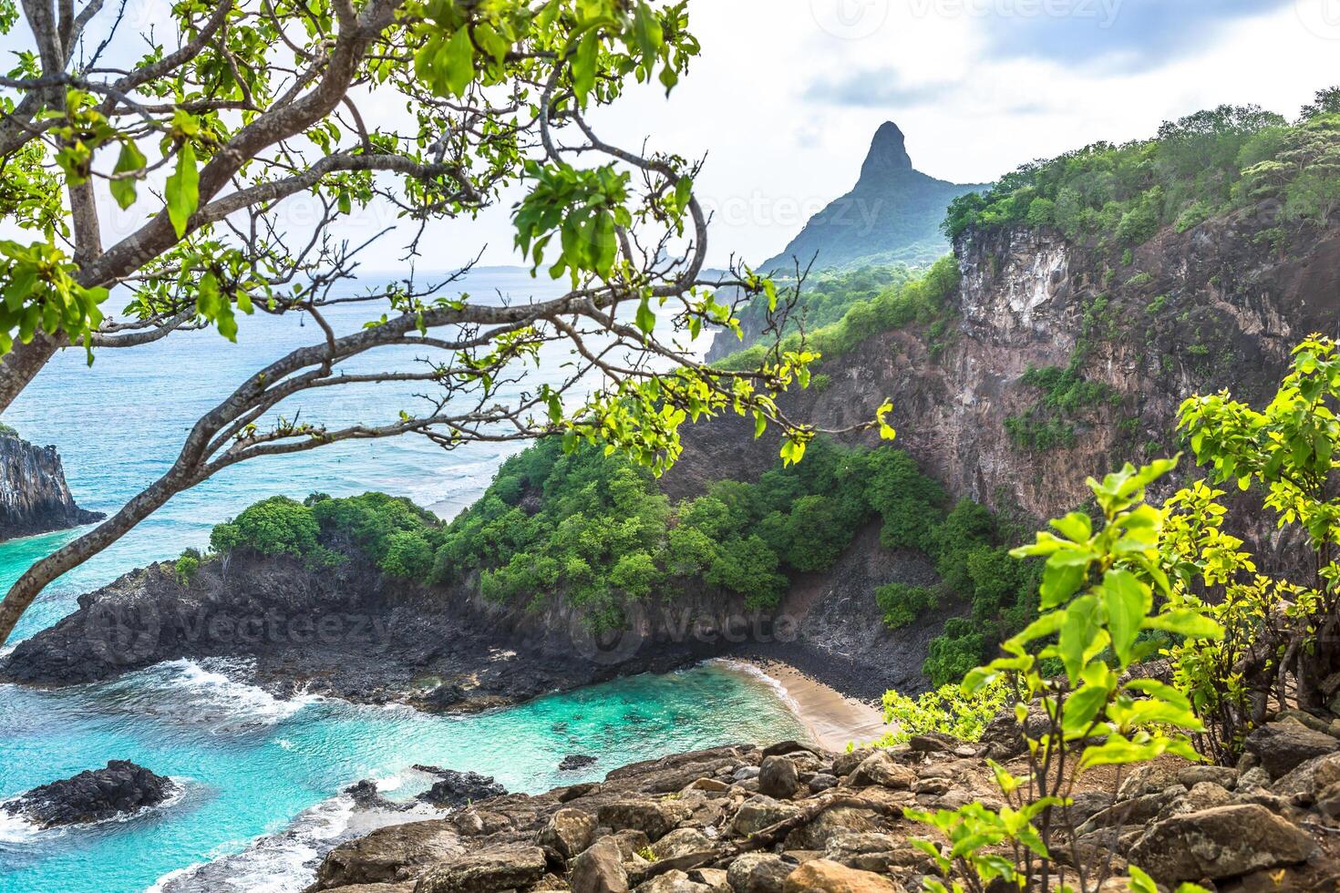 Fernando de Noronha, Brazil photo
