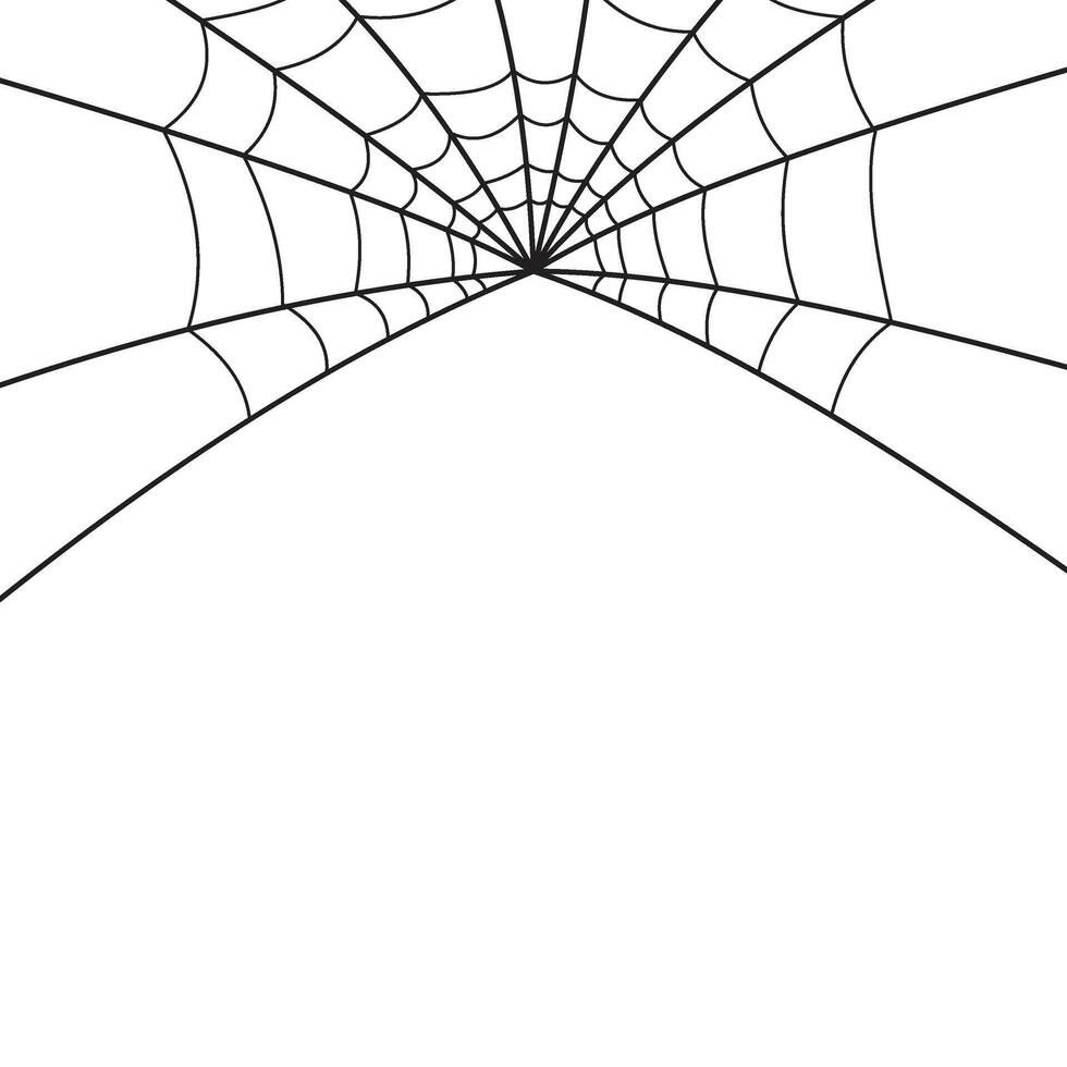 Halloween Spider Web vector