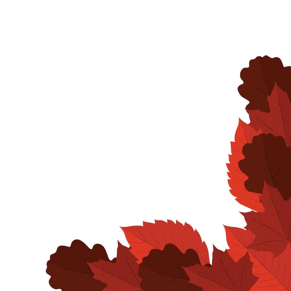 Autumn Leaf Corner vector