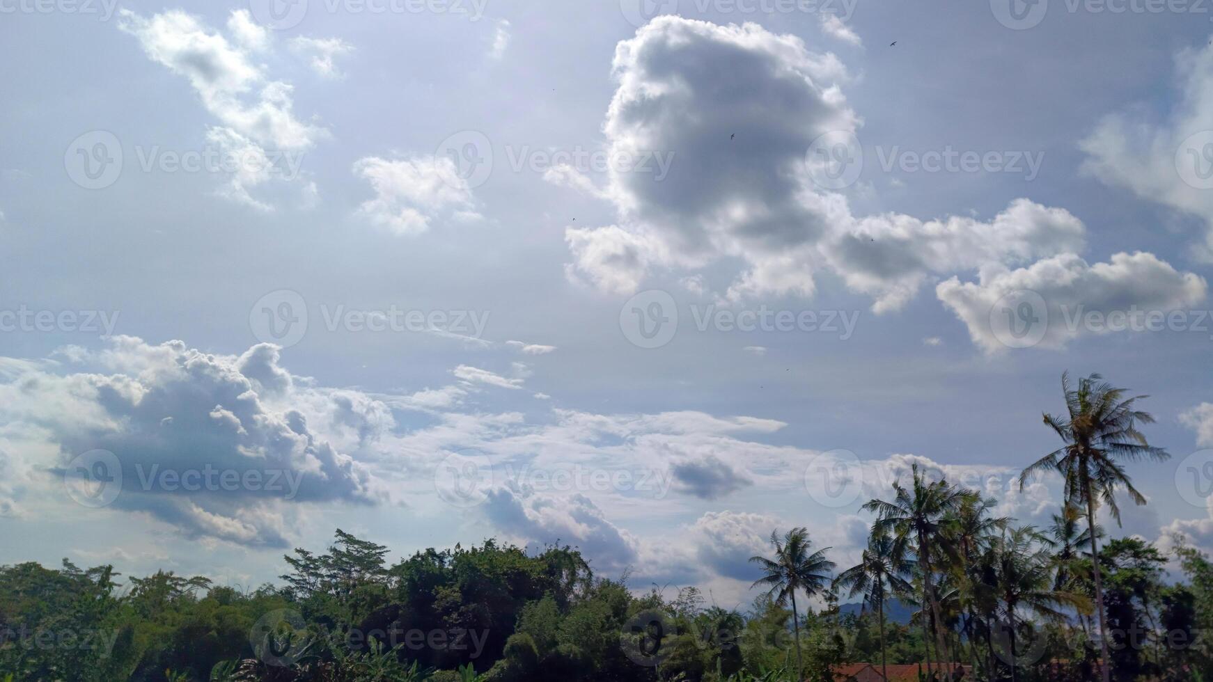 The sky is clear and blue photo