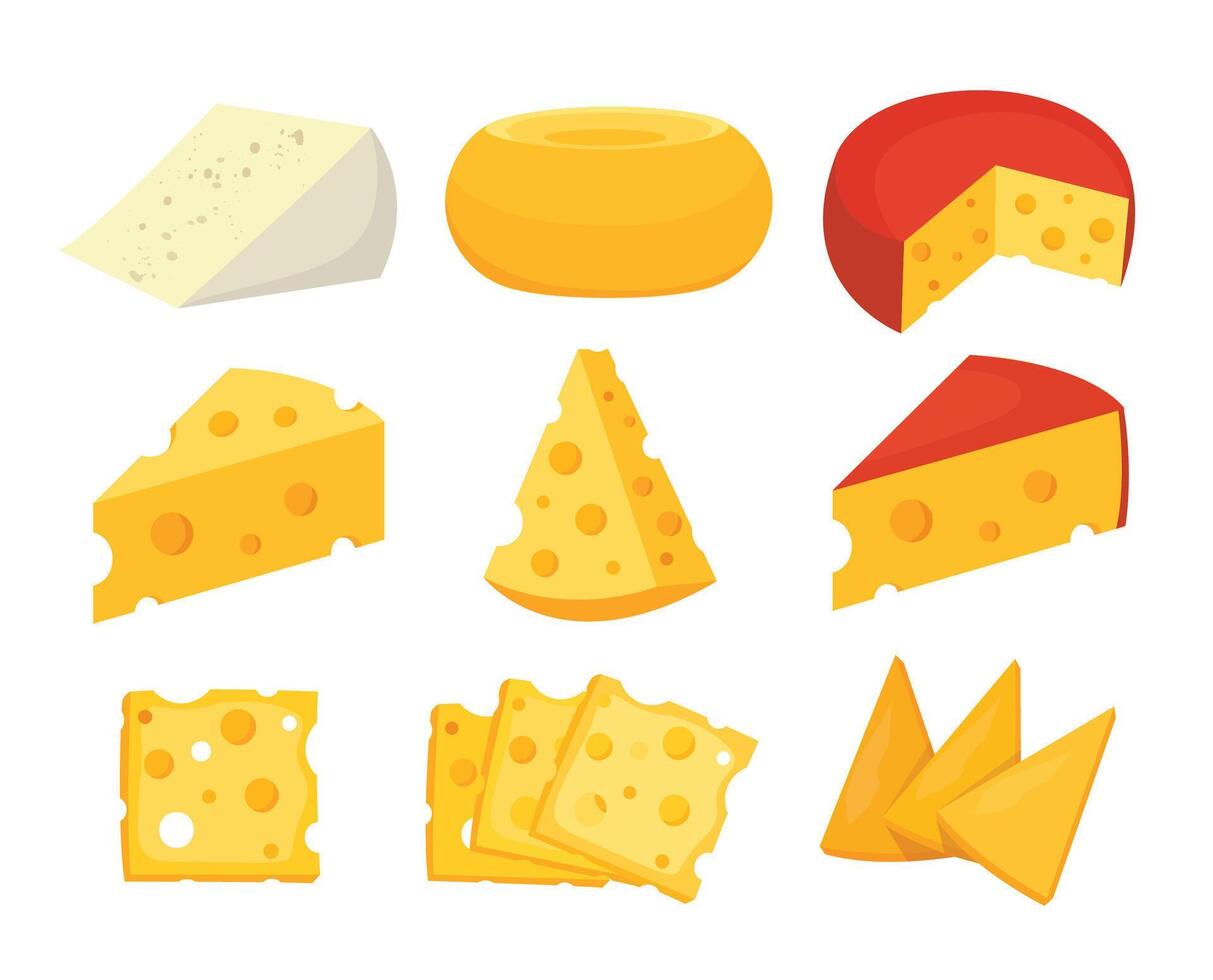 cheese parts and slices vector