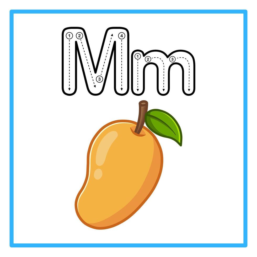 tracing alphabet fresh mango illustration vector