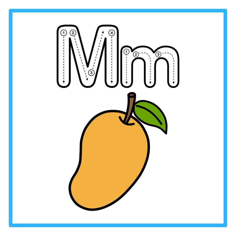 tracing alphabet flat mango illustration vector