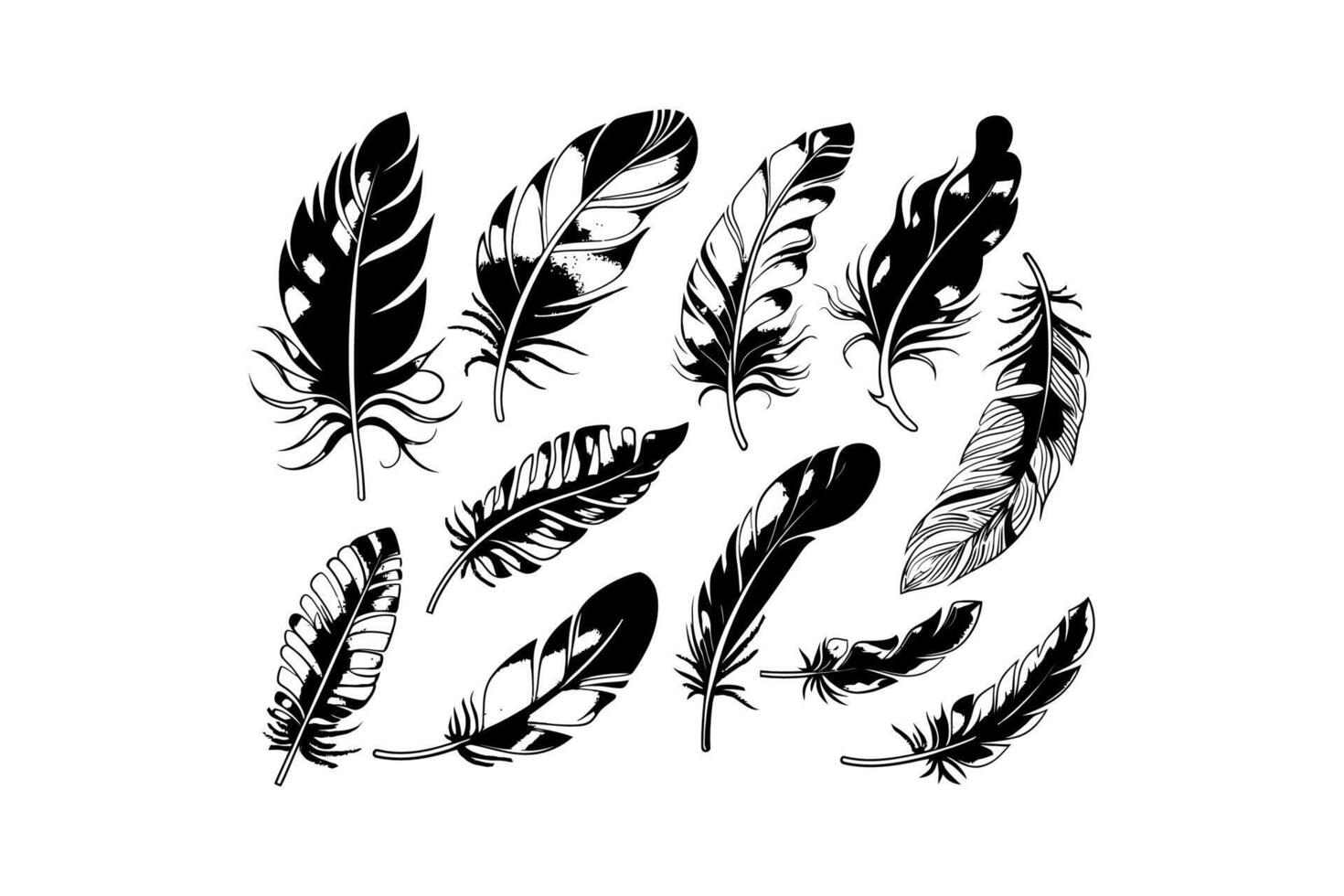 Collection of Hand-Drawn Feathers Illustration vector