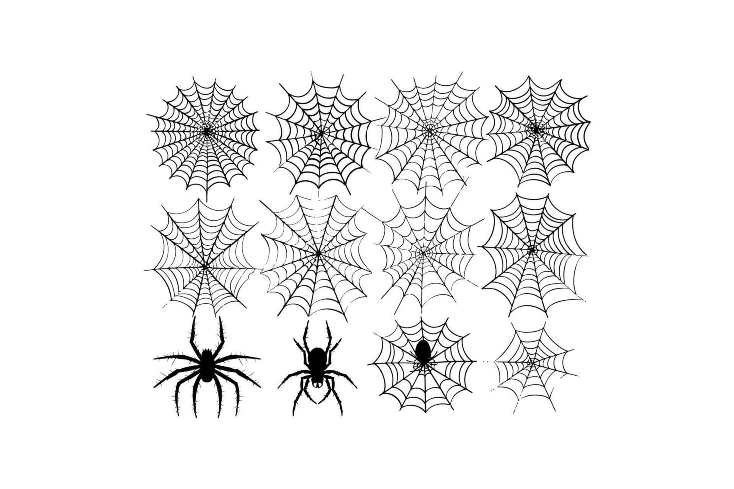 Collection of Spider Webs and Spider Illustrations vector