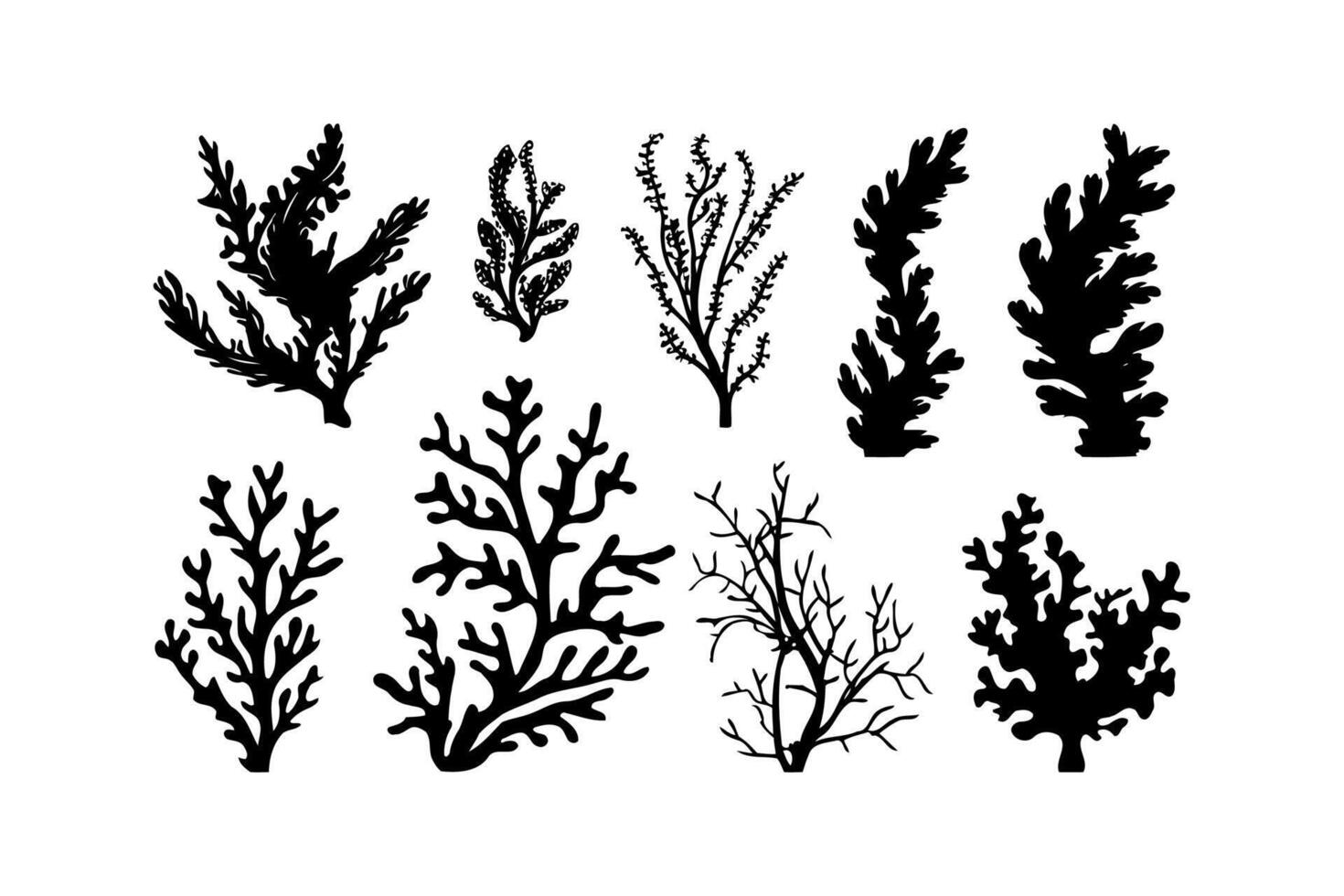 Collection of Black Seaweed Silhouettes vector