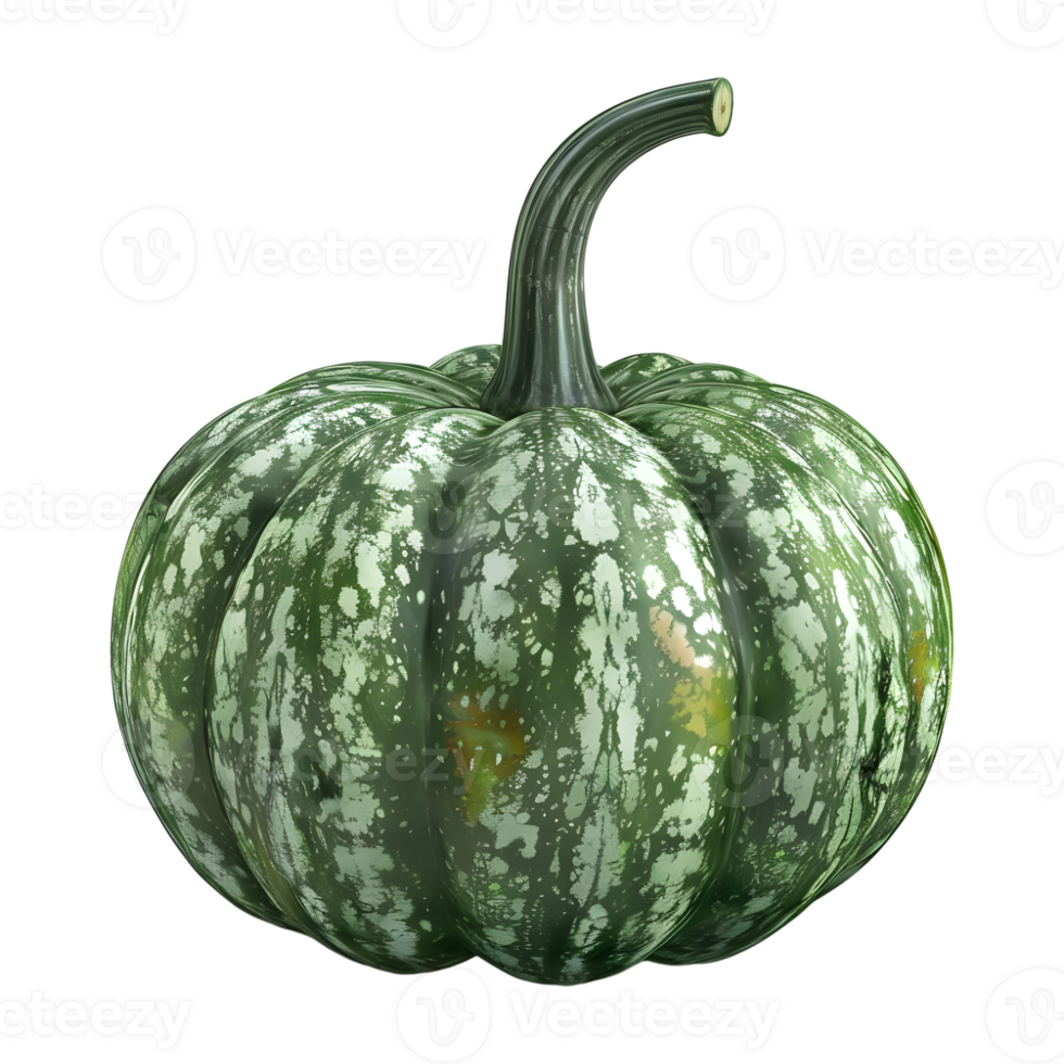 Green Pumpkin on Transparent Background png