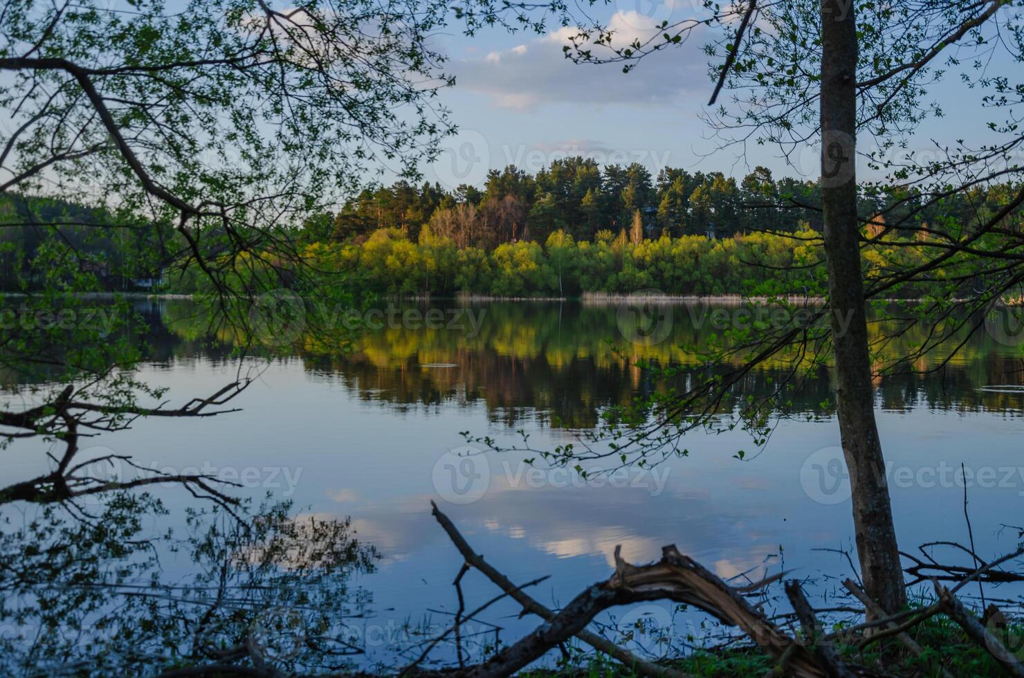 Beautiful landscape of the lake through the branches of trees with the reflection of the forest in the water photo