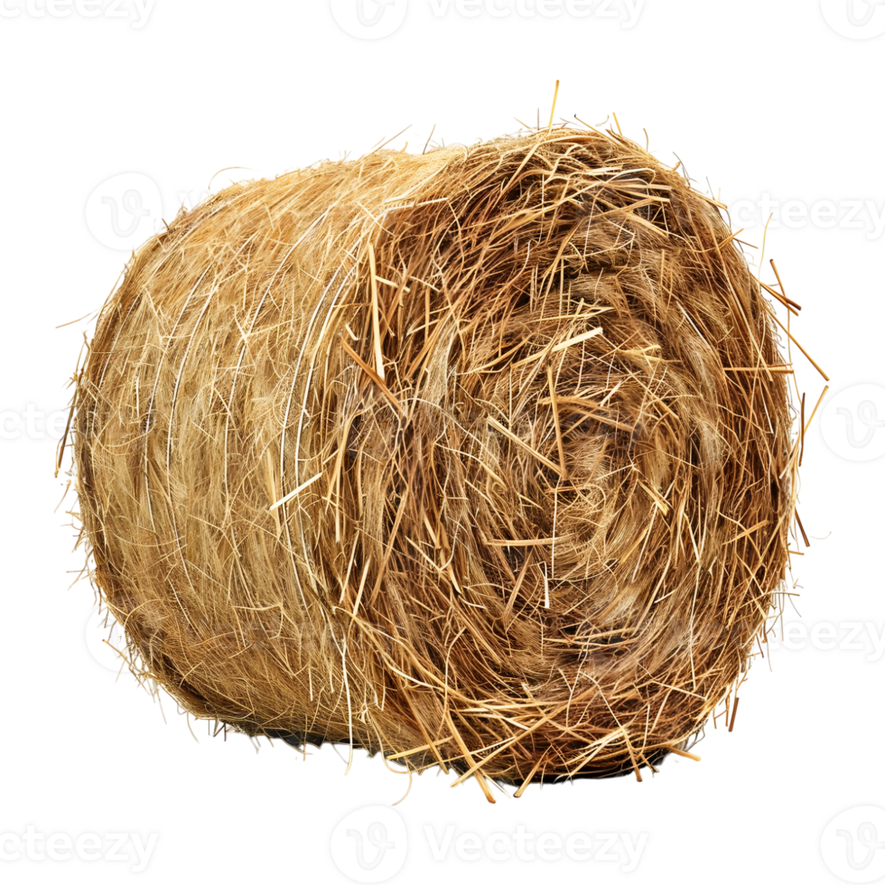 Yellow Hay Stack on Transparent Background png