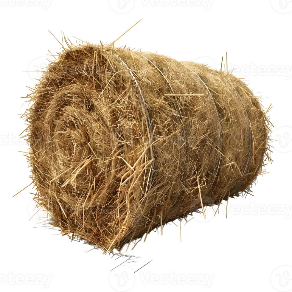 Yellow Hay Stack on Transparent Background png