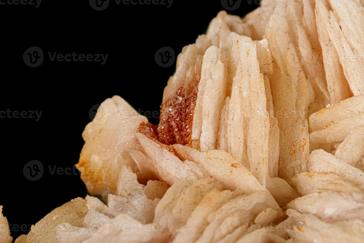 Macro stone Vanadinite Baryte mineral on a black background photo