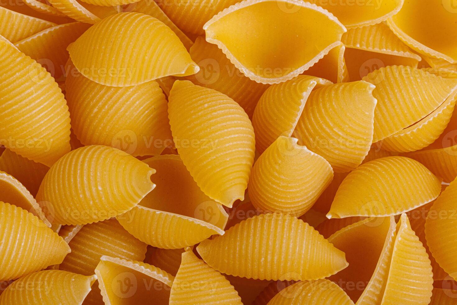 Pasta products in the form of a shell, texture photo