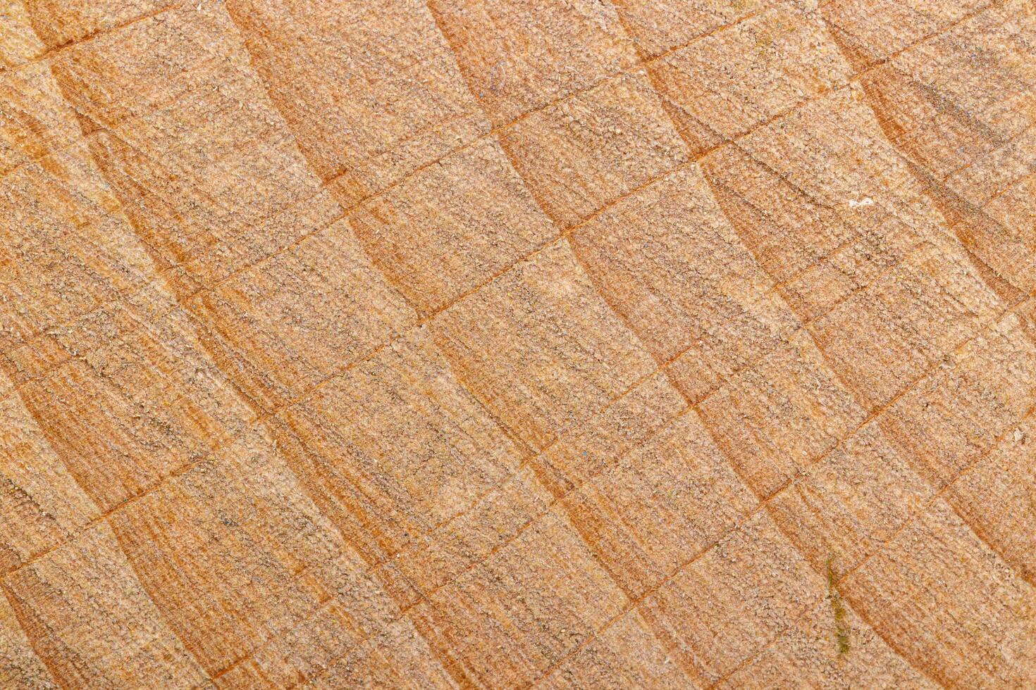 macro texture of yellow wood photo
