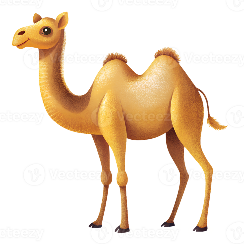 Illustration of Digital Painting, camel isolated on background png