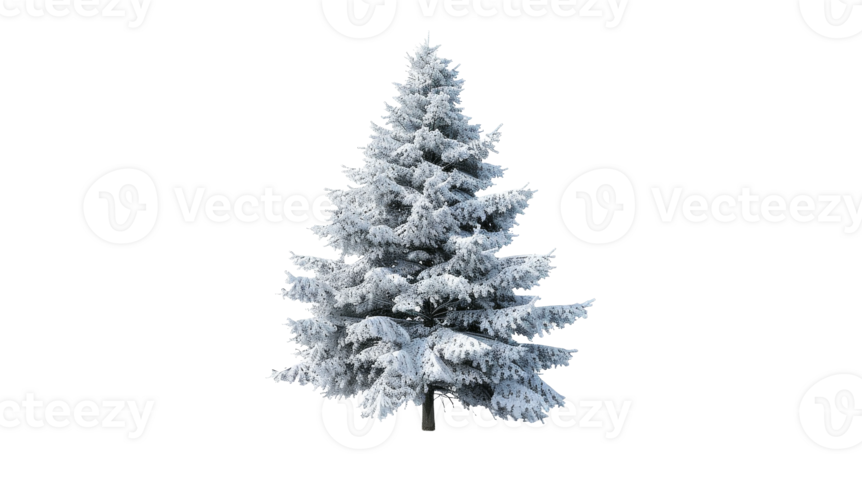 Tranquil Pine Tree in Snowy Landscape on the transparent background, Format png