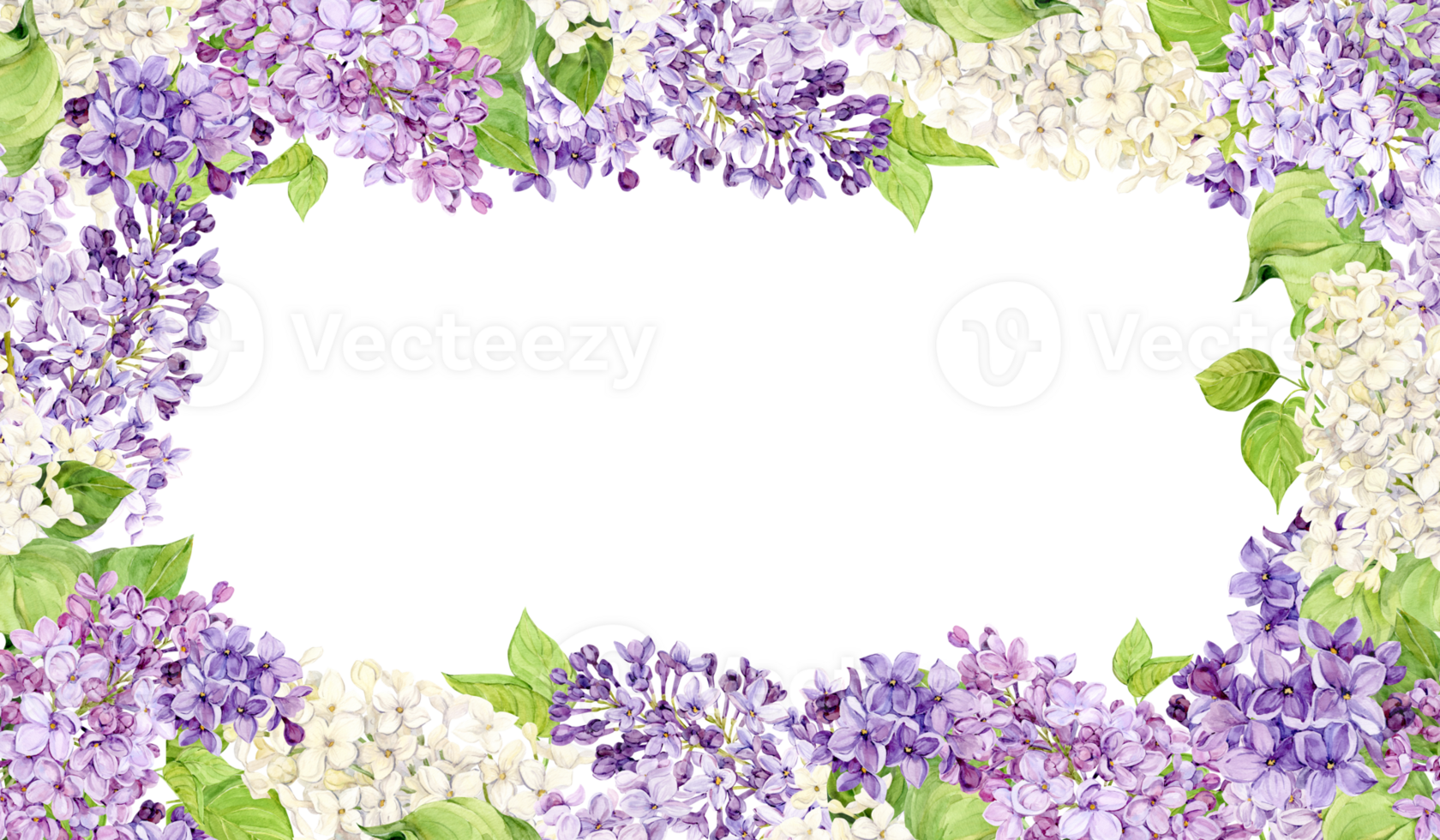 Rectangle frame with spring flowers. Watercolor lilac for wedding invitation. horizontal template for save the date, perfume or cosmetics design. White, lilac, violet syringa png