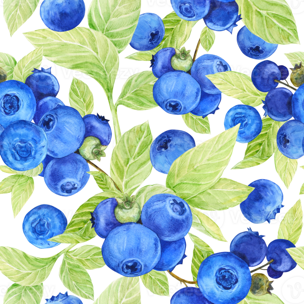 Blueberry watercolor pattern. Seamless pattern of ripe berries on a transparent background. Botanical hand drawn illustration for fabric, textile, wallpaper, wrapping paper. png