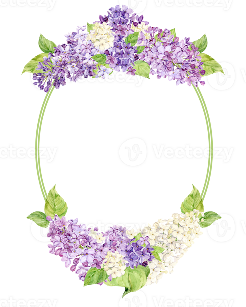 Oval frame with white and purple lilacs. Template with spring flowers and place for text. Postcard for Mother's Day, March 8, Valentine's Day. Rustic decor on a transparent background. Save the date. png