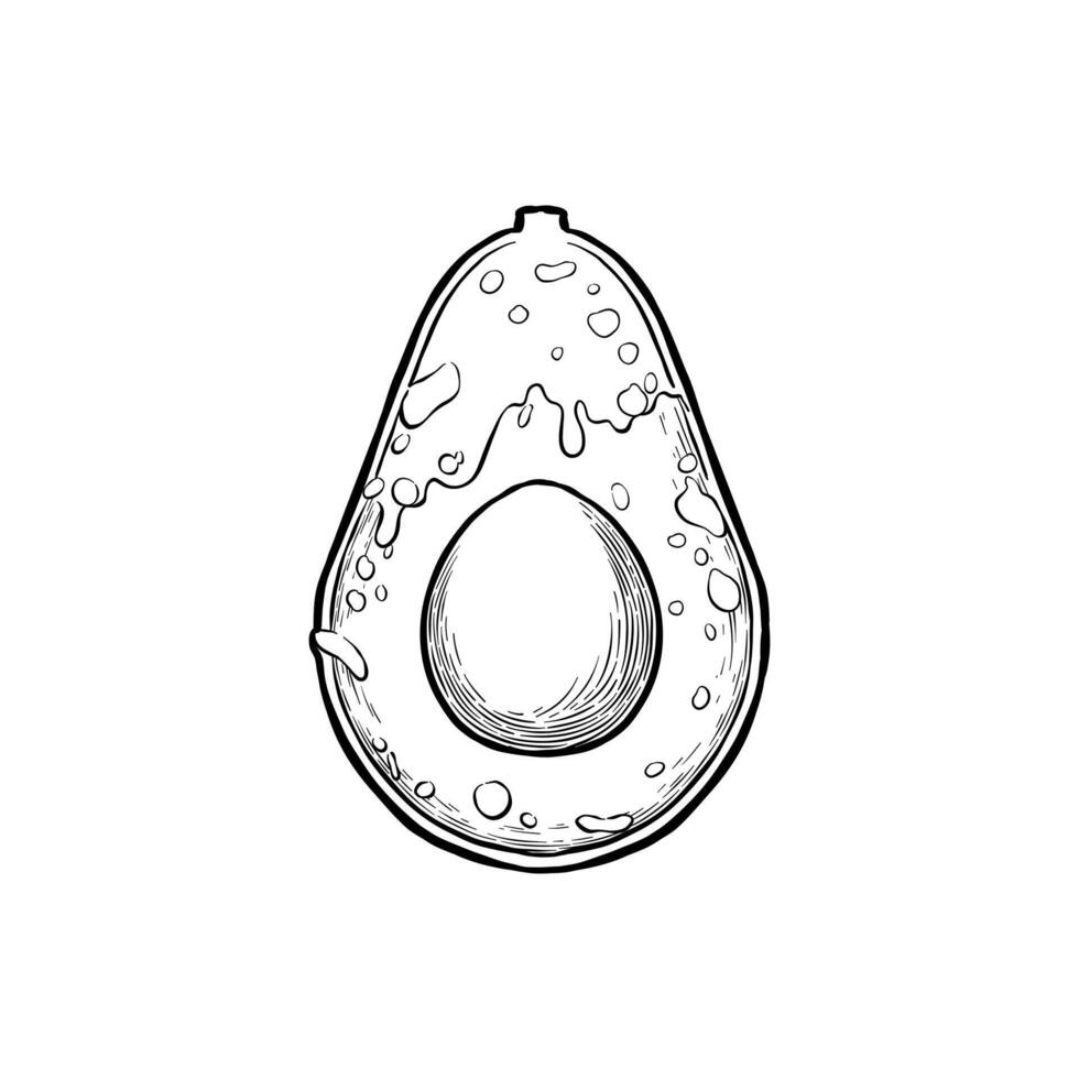 black and white illustration of avocado covered in oil vector