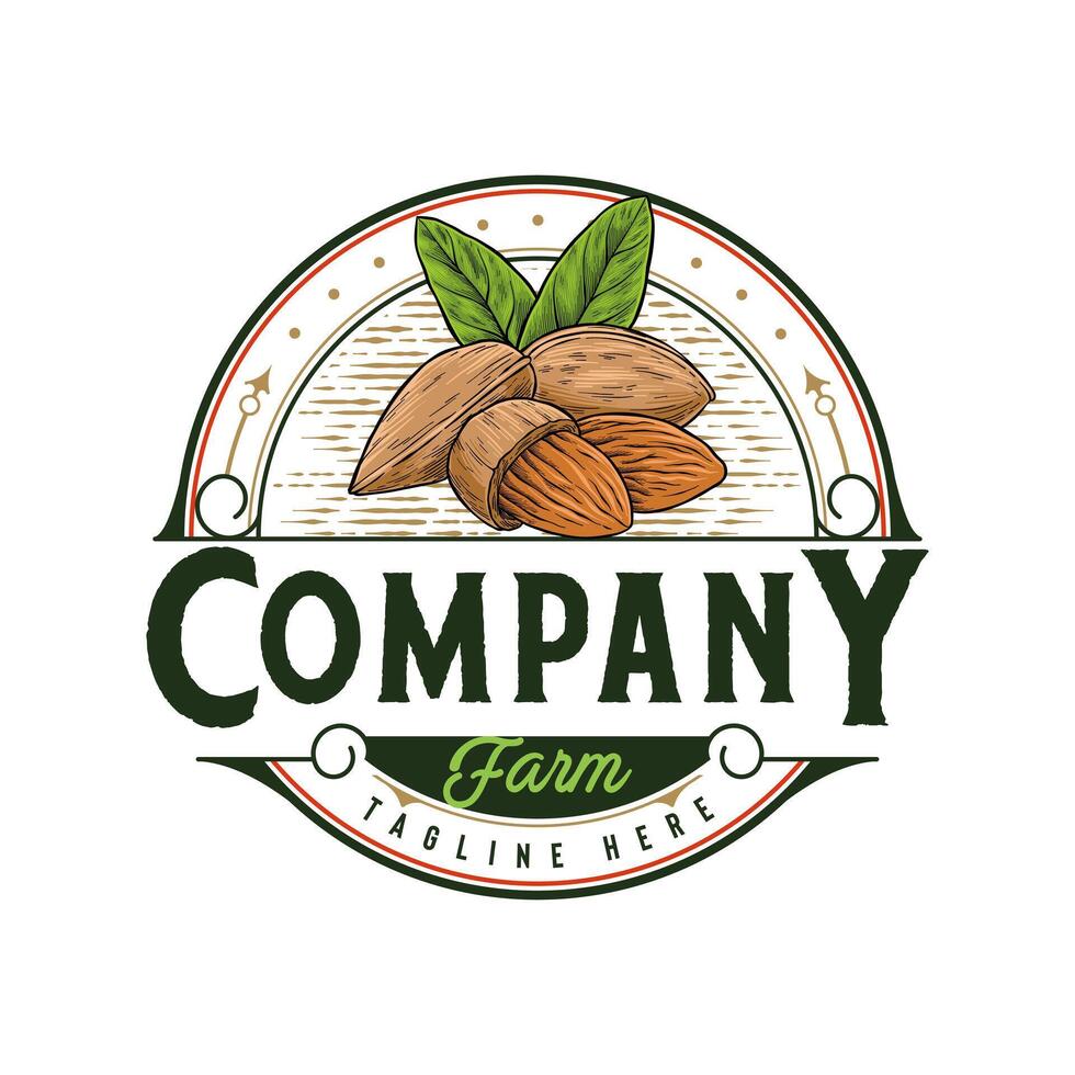 Almond nut design logo in vintage style vector