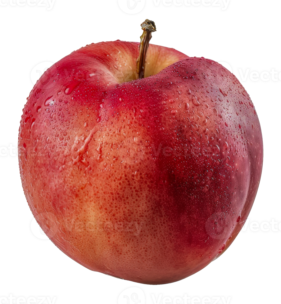 A red apple with a stem is sitting - stock .. png