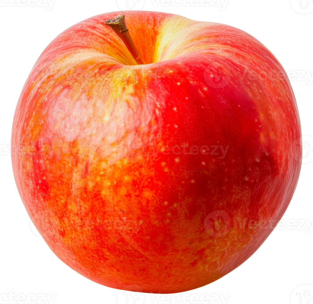 A red apple with a stem - stock .. png