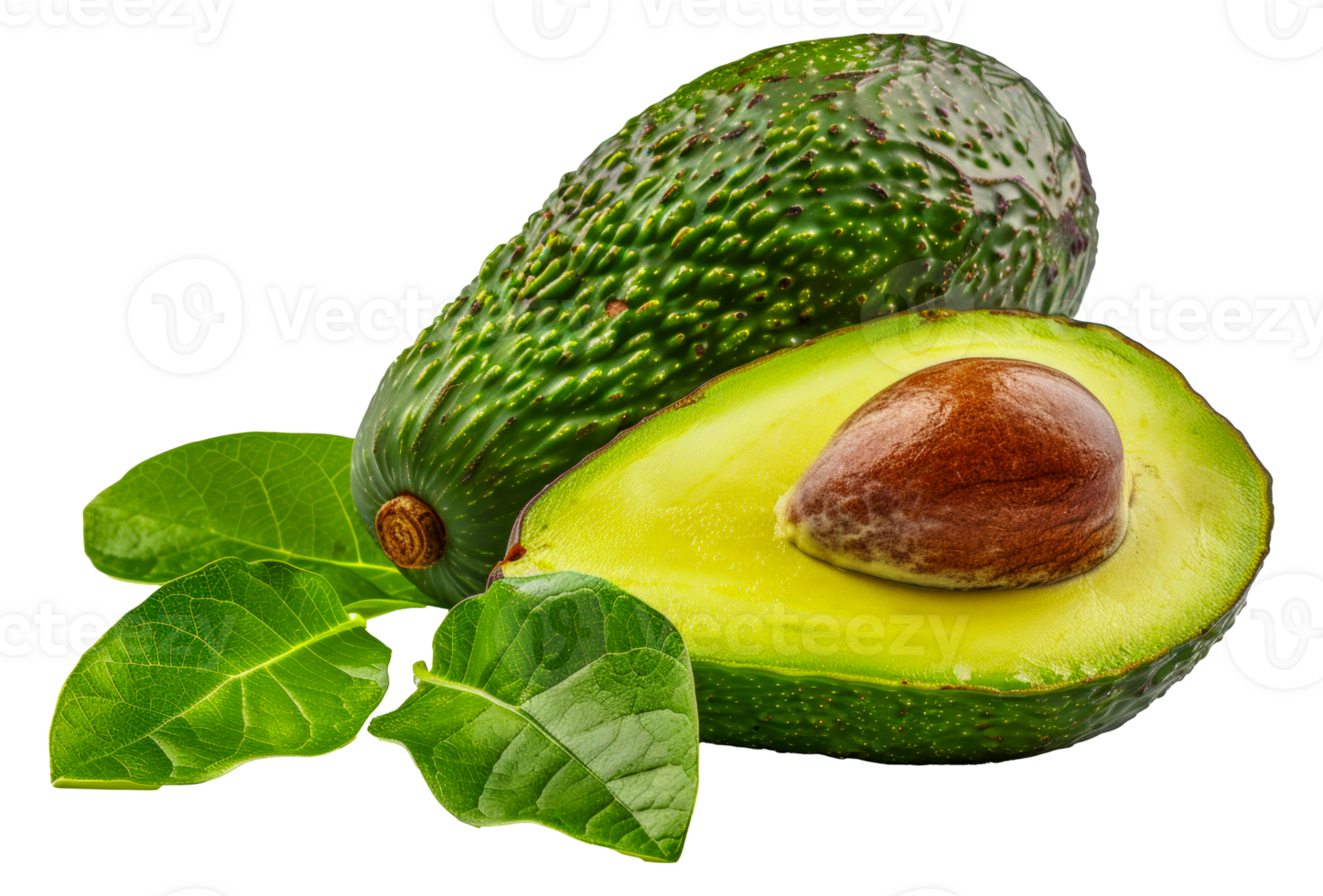 A green avocado with a brown seed in the middle - stock .. png
