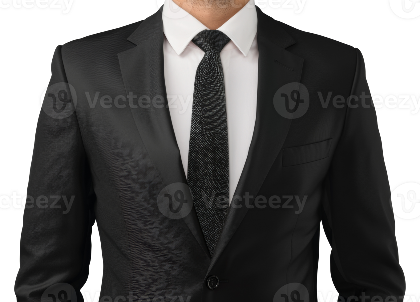 A man wearing a black suit and a white shirt with a black tie - stock .. png