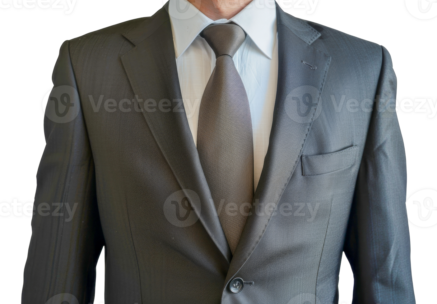 A man in a suit and tie is wearing a gray jacket and a gray tie - stock .. png