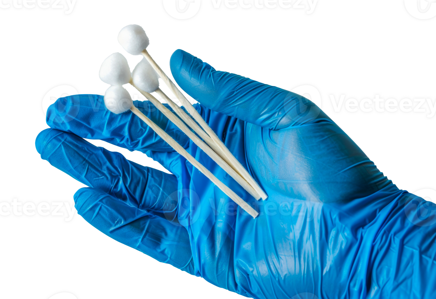 A hand wearing blue gloves holding a bunch of cotton swabs - stock .. png