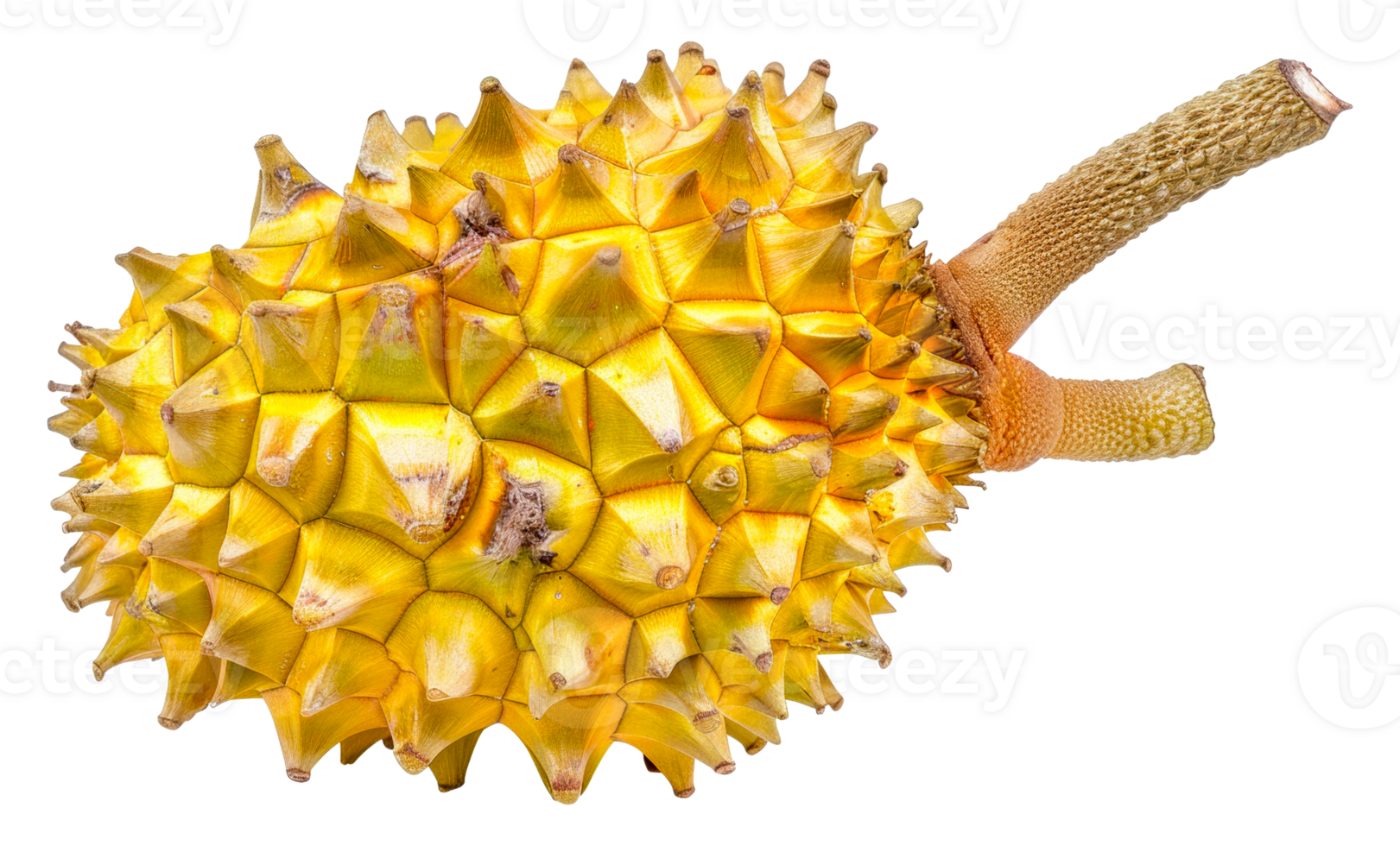 A yellow fruit with a lot of spikes on it - stock .. png