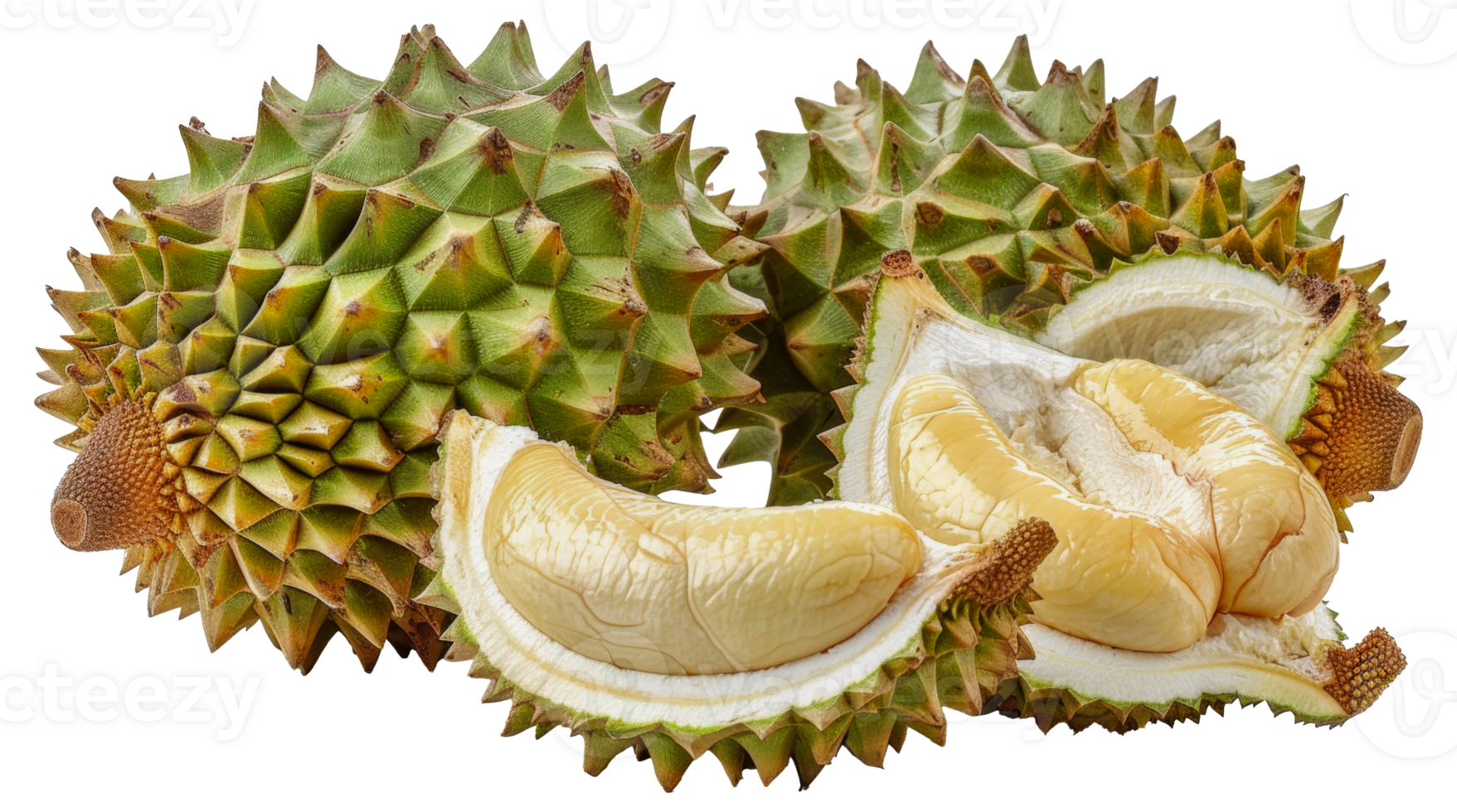 A green fruit with a lot of spikes on it - stock .. png
