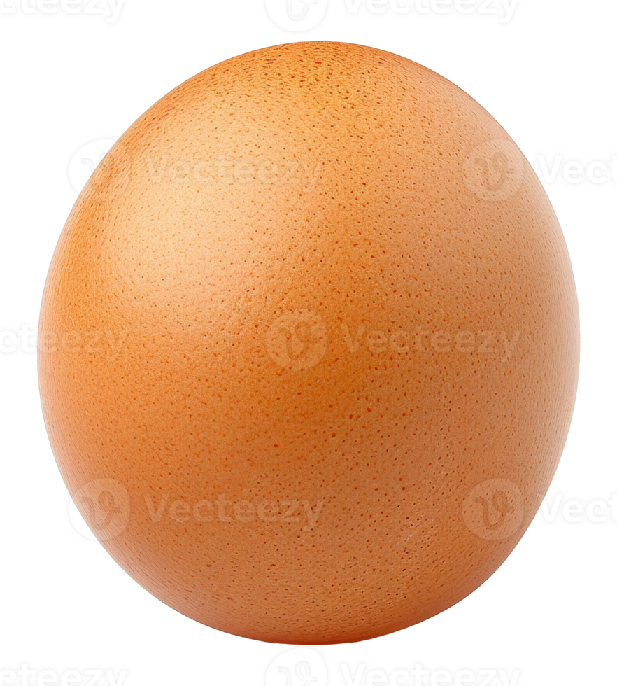 A large, round, orange egg - stock .. png