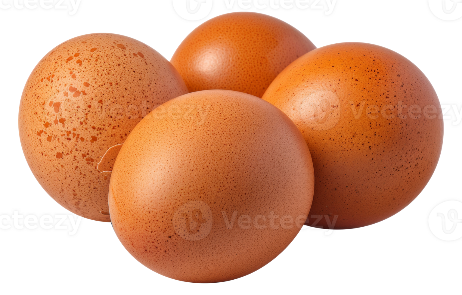 Four eggs are sitting - stock .. png
