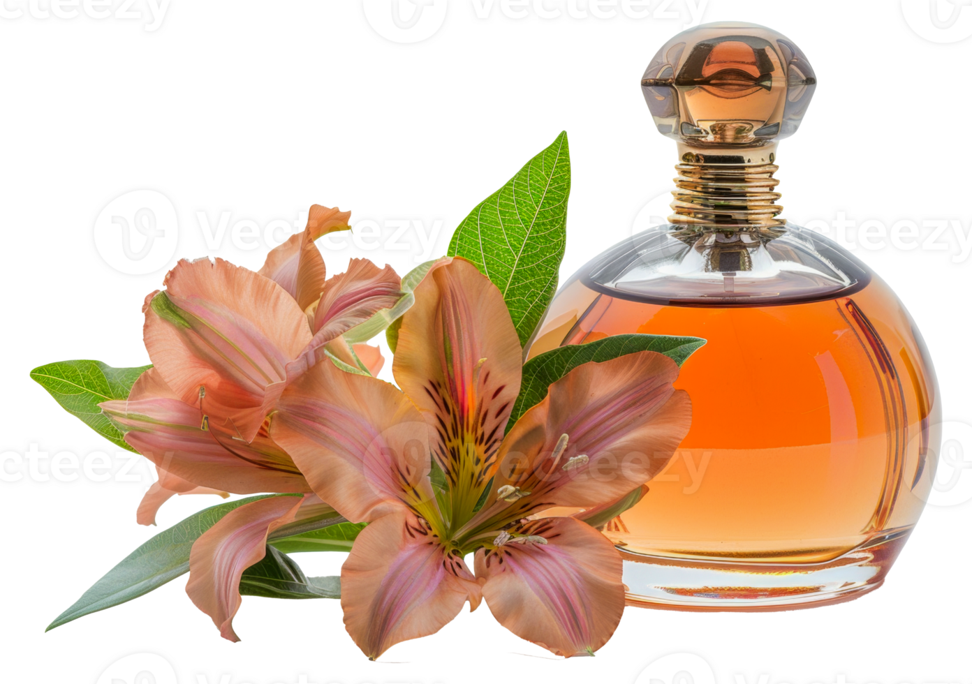 A bottle of perfume is next to a flower - stock .. png