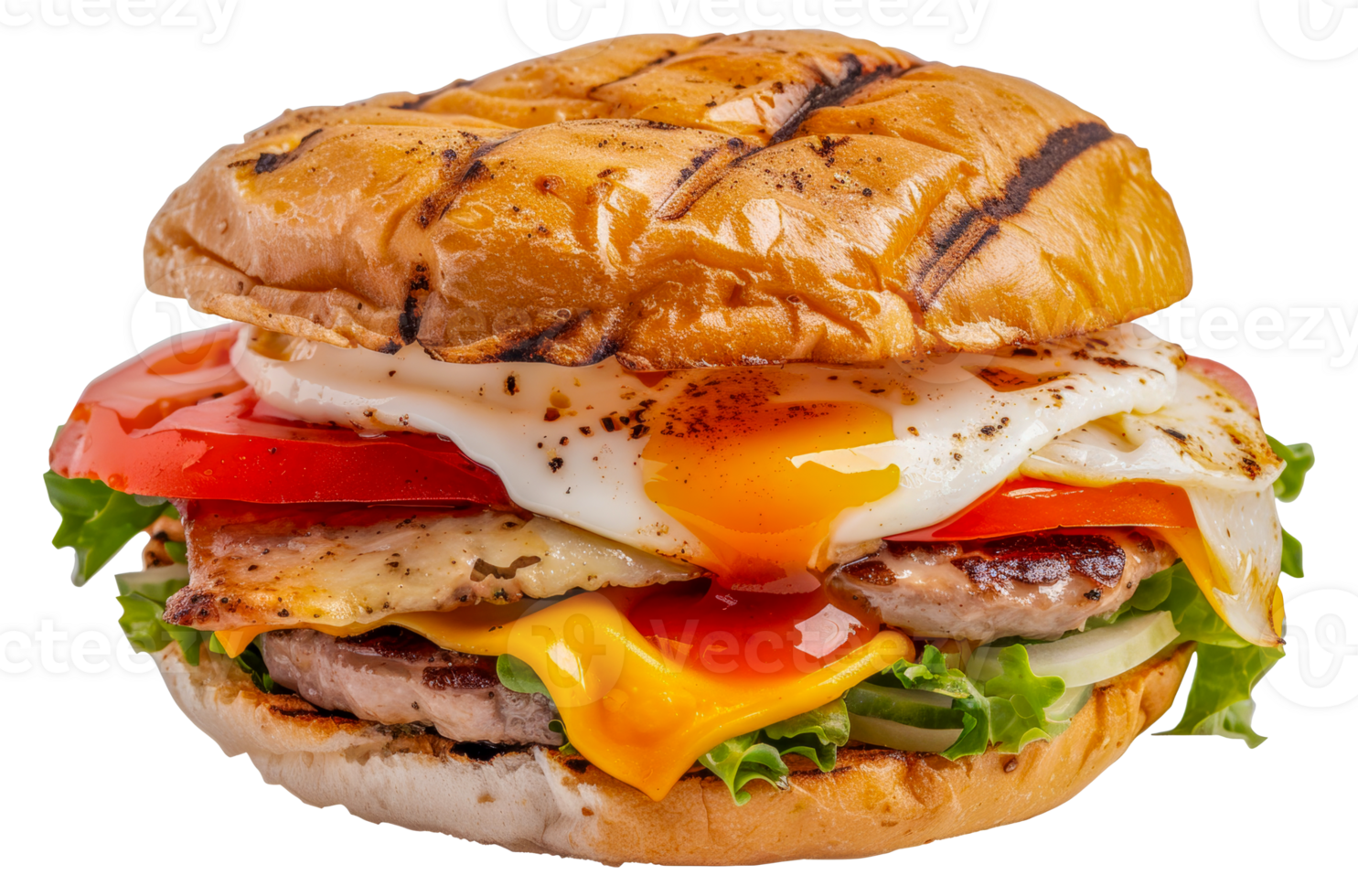 A grilled meat sandwich with cheese and tomatoes - stock .. png