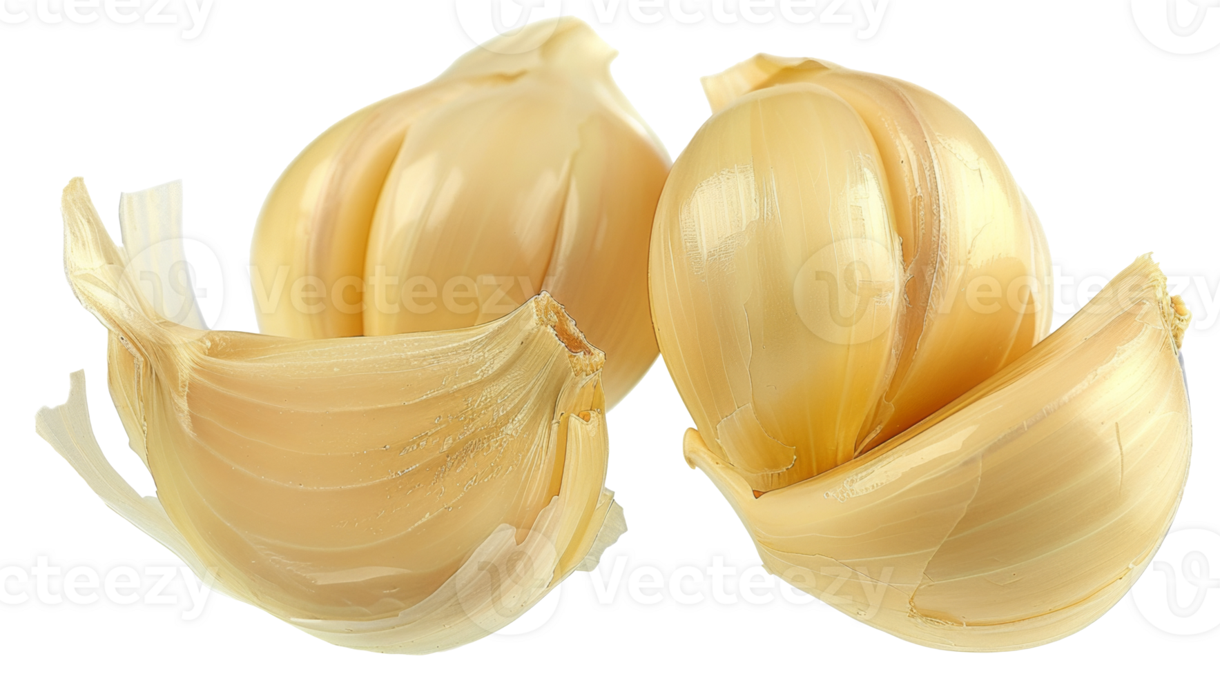 Two peeled garlic cloves are shown, one of which is cut in half - stock .. png