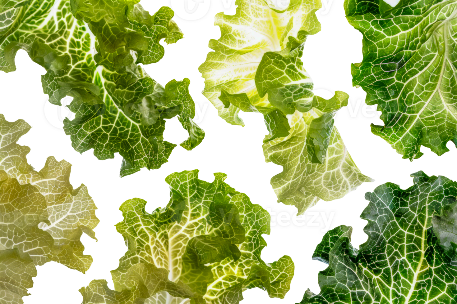 A close up of several different types of lettuce leaves - stock .. png