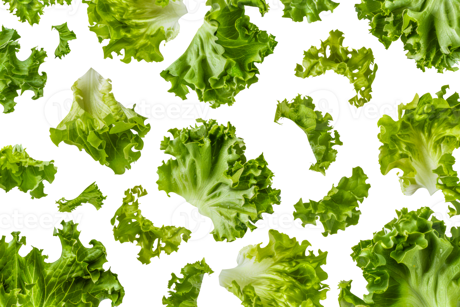 A close up of many pieces of lettuce - stock .. png