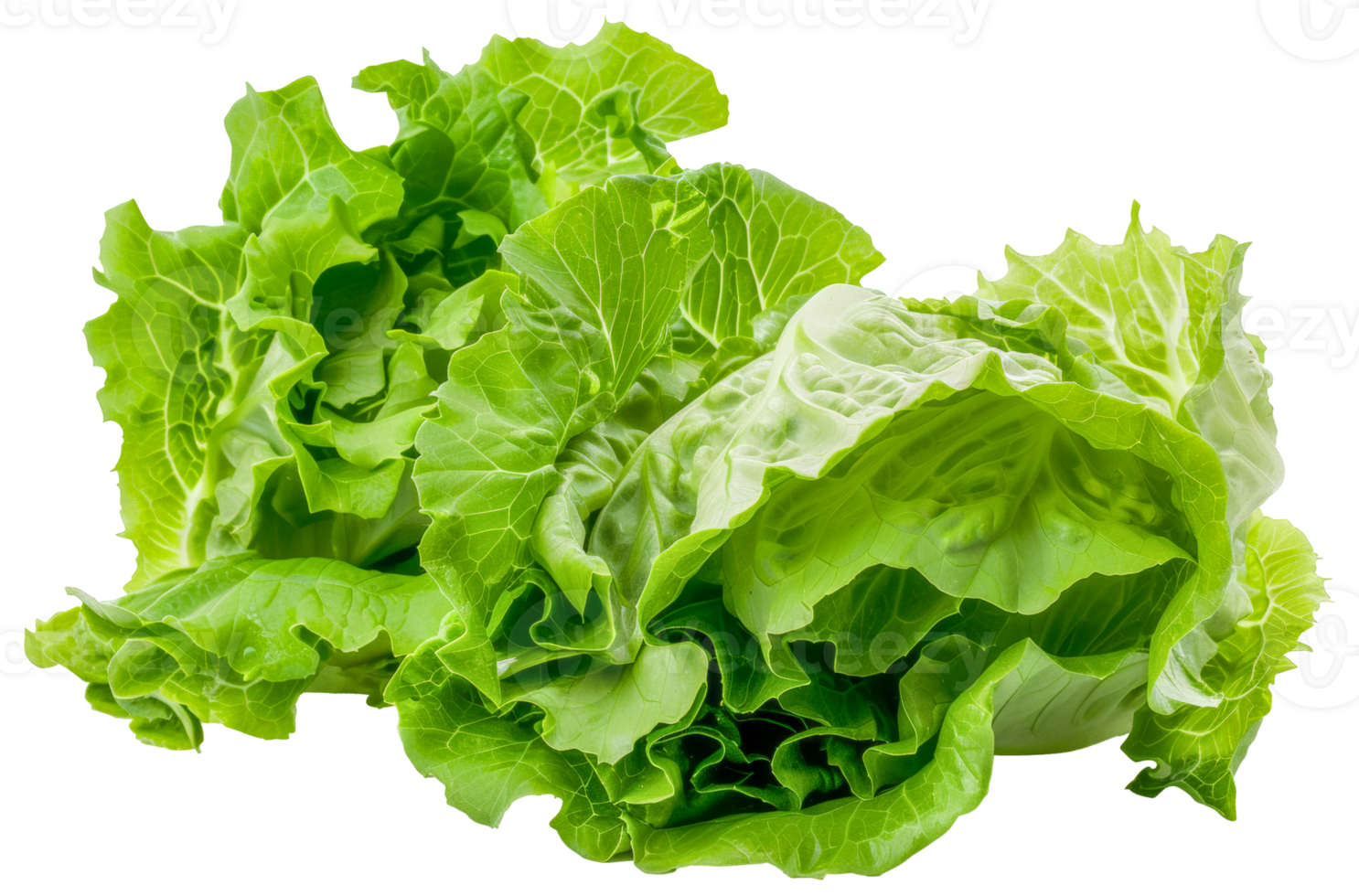 A bunch of green lettuce leaves are piled on top of each other - stock .. png
